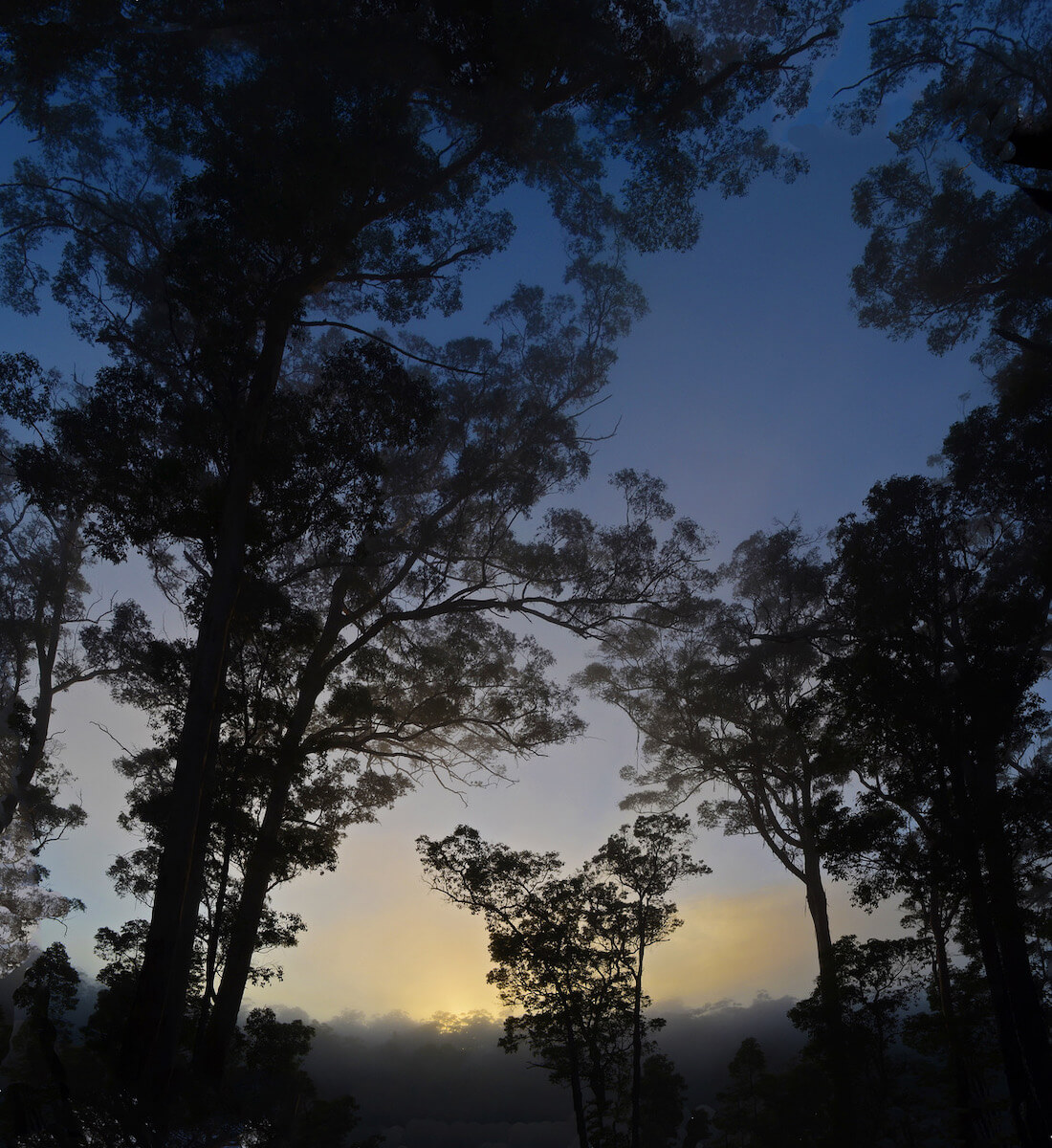 quinninup-sunrise